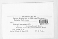 Image Associated With the Occurence